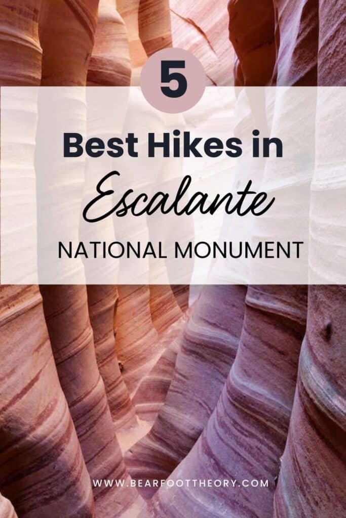 A photo of Zebra slot canyon with the text "5 best hikes in Escalante National Monument"