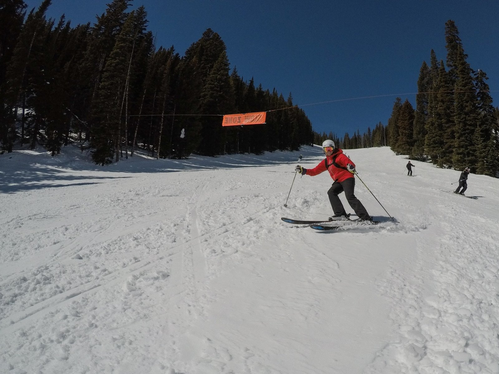 Skier skiing down run at Alta Ski Resort in Utah
