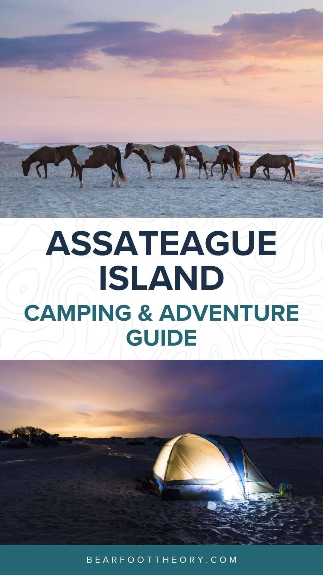 Discover Assateague Island camping and things to do including beach activities, bike paths, nature walks, beautiful forests, and more.
