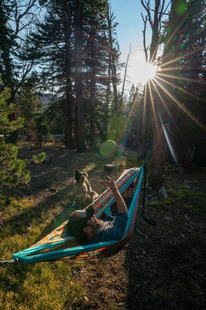 Man laying in an ENO Hammock in the forest playing fetch with a border collie.
