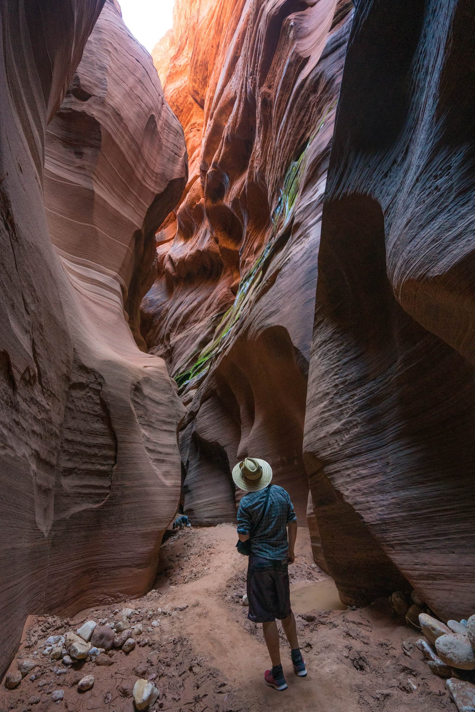 Buckskin Gulch is the longest slot canyon in the US, if not the world // A round-up of the best hikes in Utah. Explore Utah's epic landscapes and get tips for tackling these bucketlist trails.
