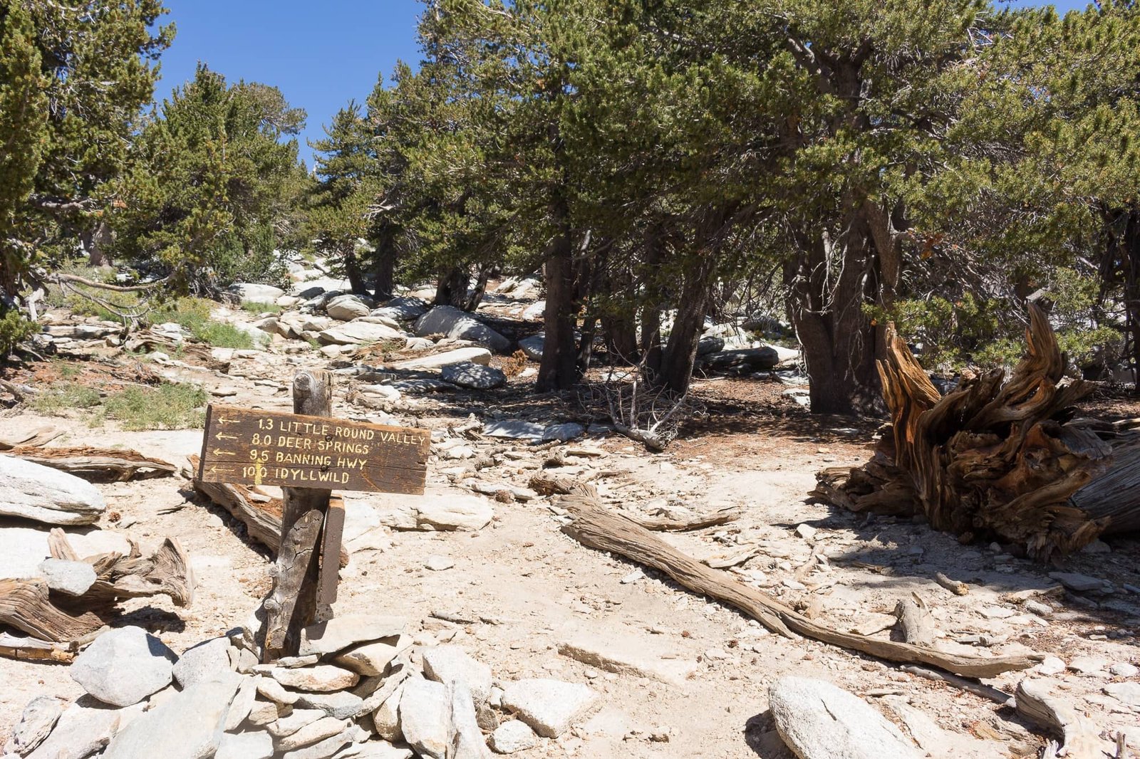 Get all the info you need for backpacking the San Jacinto Peak Loop Trail, the most scenic route to summit San Jacinto Peak.