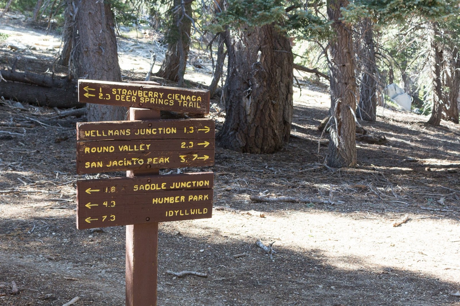 Get all the info you need for backpacking the San Jacinto Peak Loop Trail, the most scenic route to summit San Jacinto Peak.