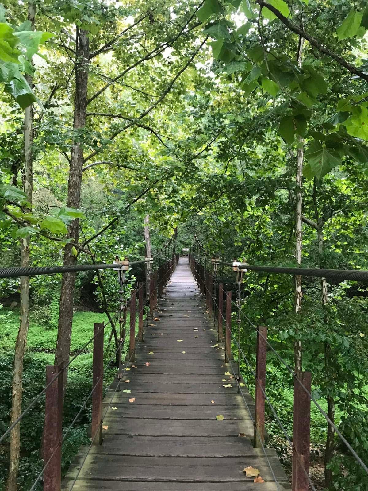 Avalon Loop Trail // Looking for the best hikes in Maryland? Here are our 7 favorite Maryland trails including distances, descriptions, and local tips.