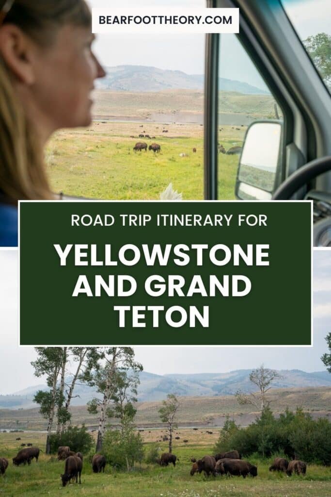 Alaina Hermiston in the drivers seat of a Sprinter Van driving through Lamar Valley with bison out the window with the text "Road Trip Itinerary for Yellowstone and Grand Teton"