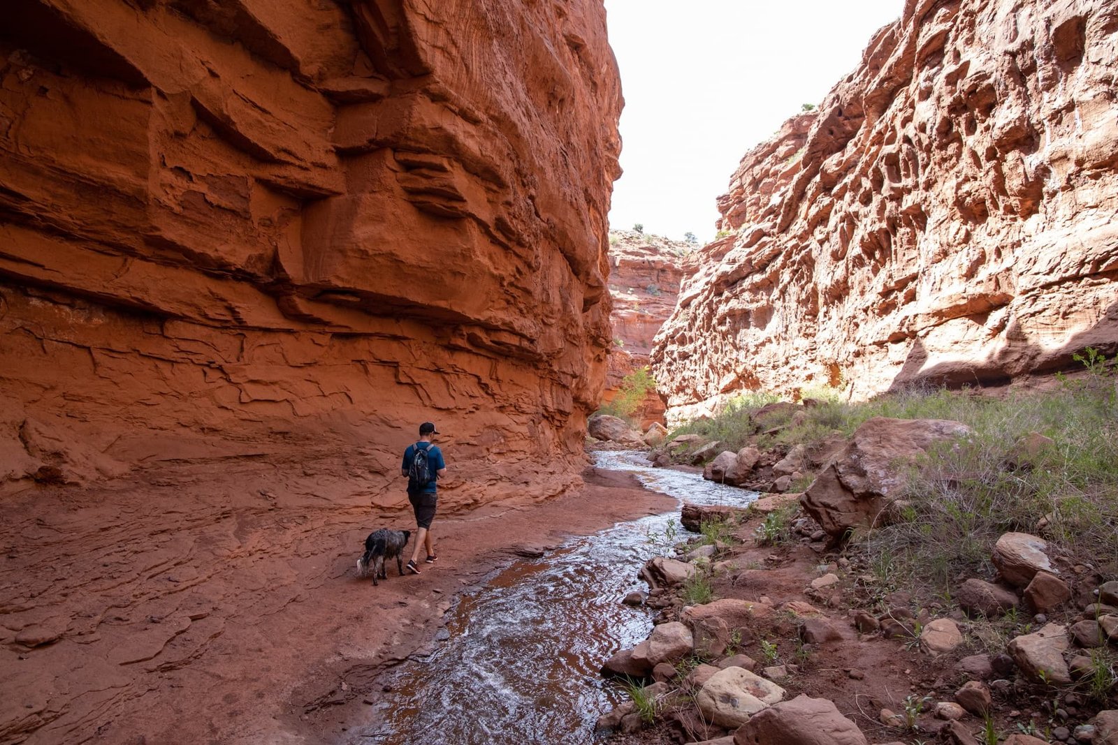 Person hiking on trail through red rock canyon in Moab with small stream running through it