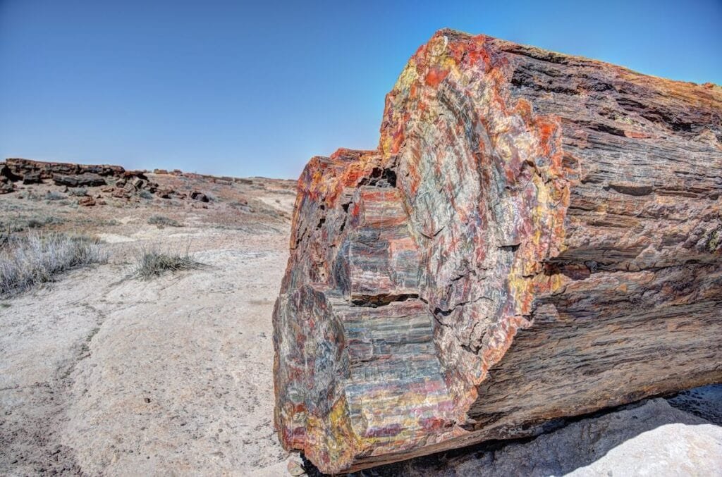 Petrified piece of wood at Petrified Forest National Park