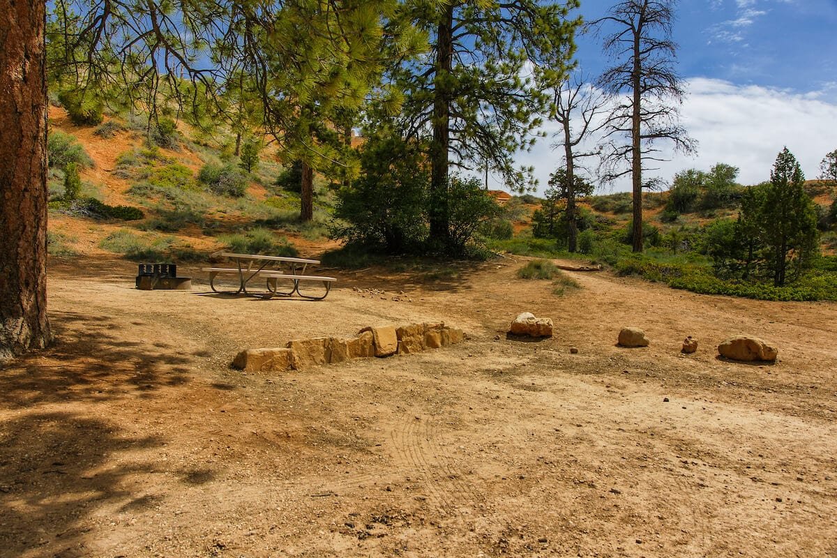 An empty campsite at North Campground in Bryce Canyon National Park. It is a dirt site surrounded by pine trees.