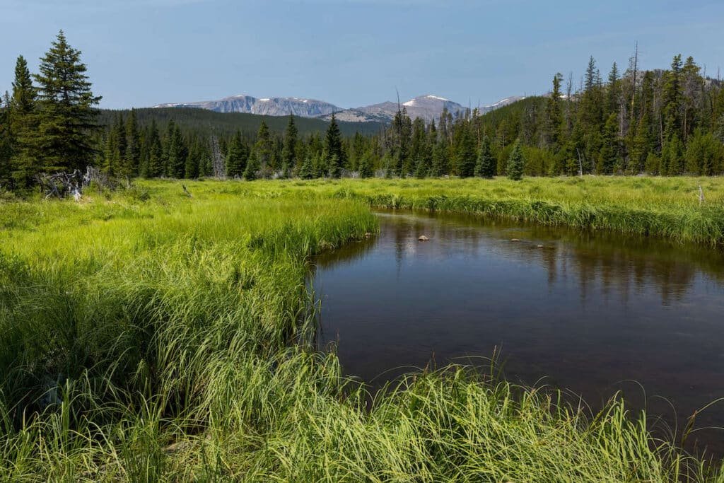Bighorn Wilderness Area in Wyoming with peaks in distance and marshy area with small pond in foreground