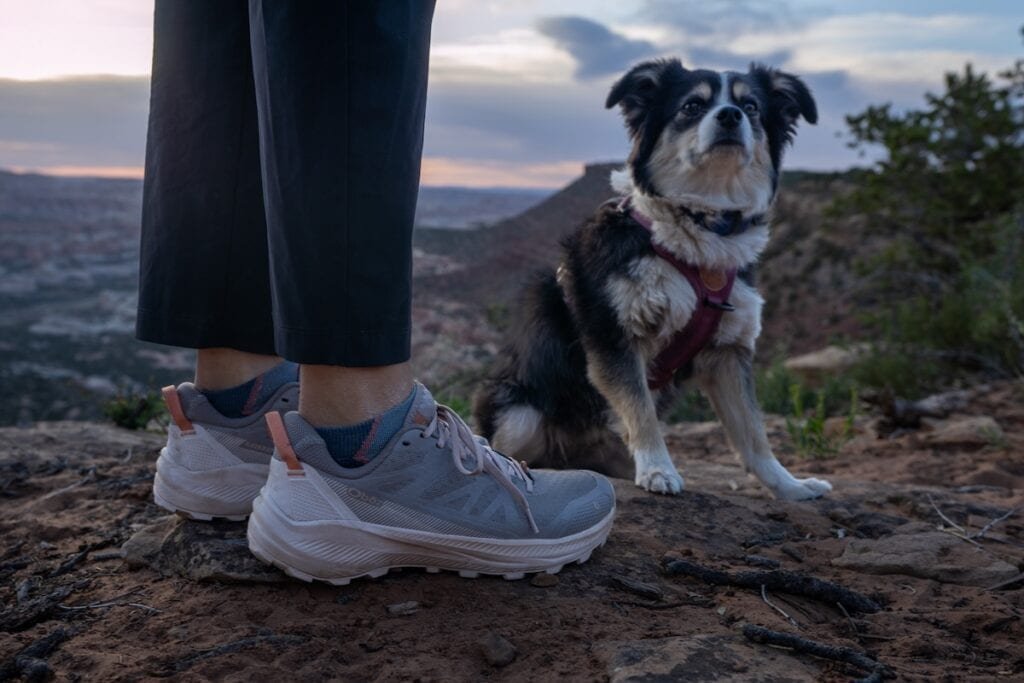 Womens ankles wearing Oboz Katabatic LT lows standing next to a mini Australian shepherd