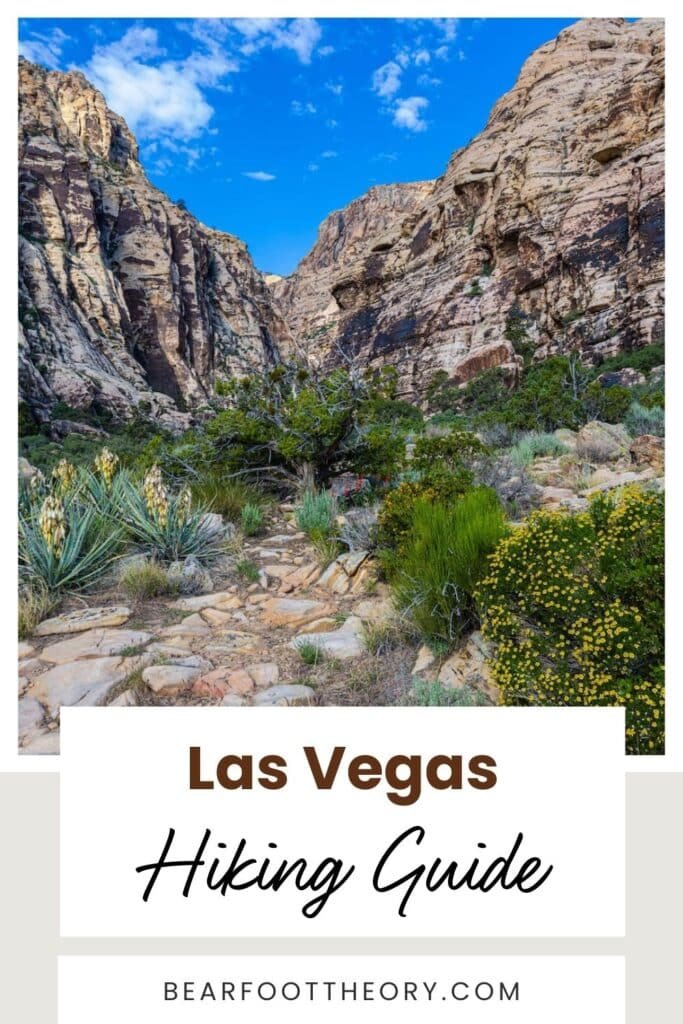 Terrain Spark | Las Vegas is more than neon lights—explore the best hiking spots. Our blog post unveils hidden Las Vegas hiking gems filled with scenic views and desert landscapes.