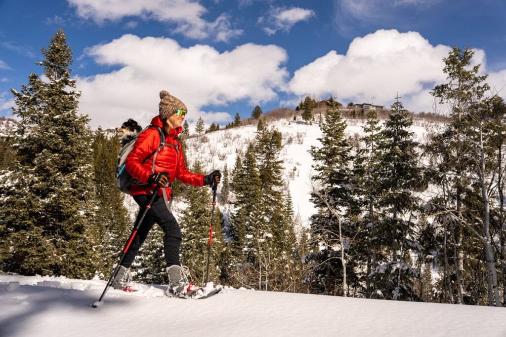 Alaina Hermiston snowshoeing with a dog in her backpack