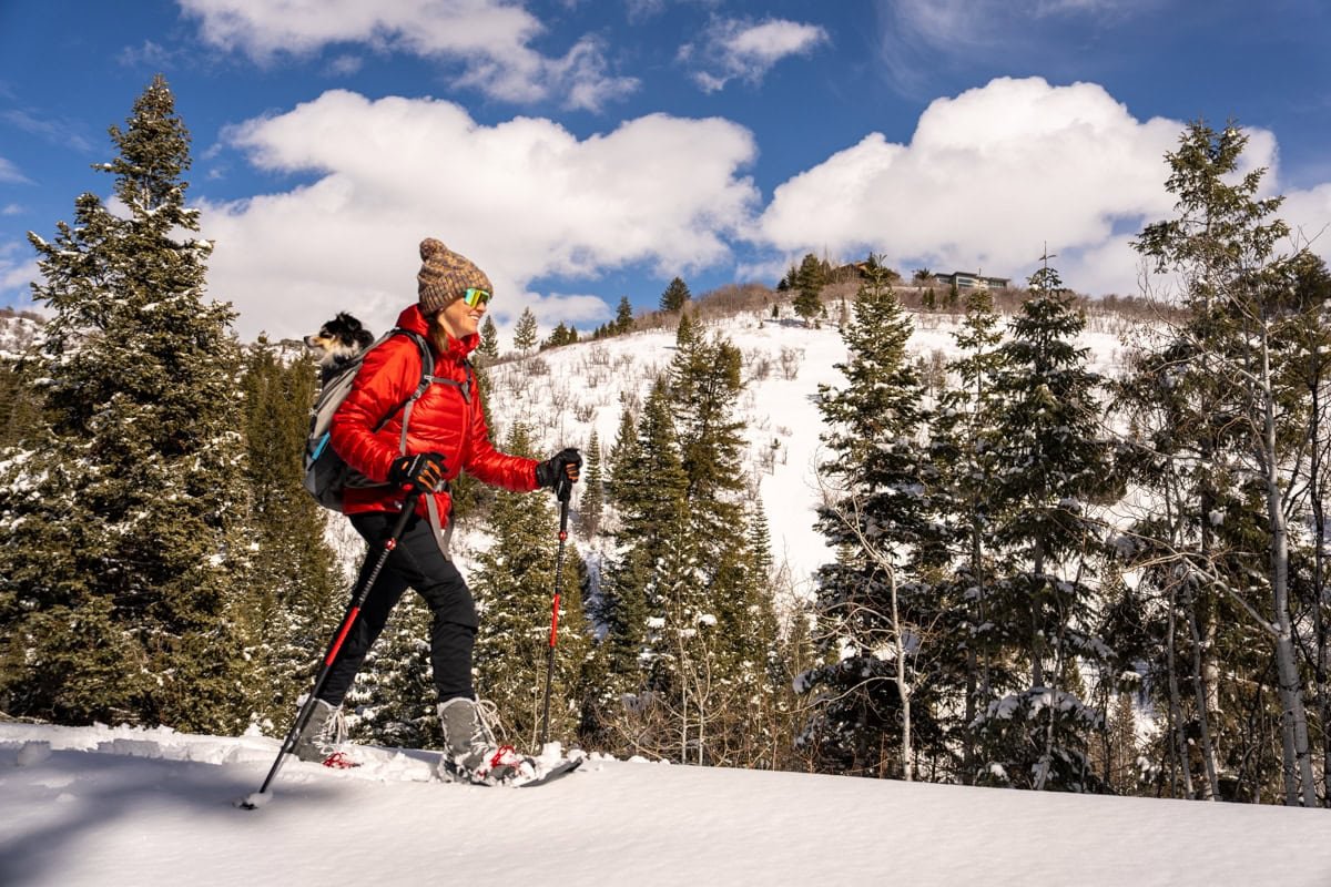 Alaina Hermiston snowshoeing with a dog in her backpack