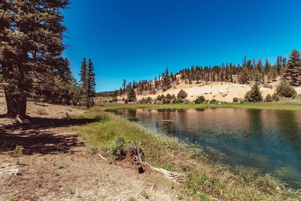 Tropic Reservoir outside of Bryce Canyon National Park with blue water and pine trees.