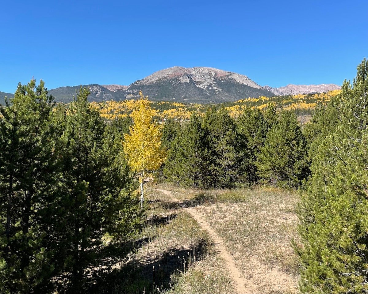 A dirt trail leading to aspen trees and a mountain view in Colorado
